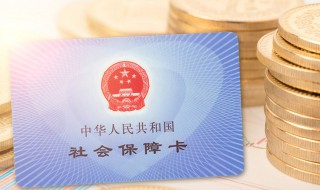 个人怎么申请社保卡 个人怎样申请社保卡