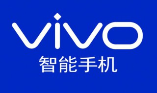 vivoy55首选安装位置在哪 vivoy55下载首选位置怎么设置