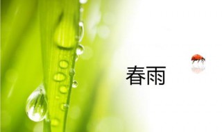 什么的春雨 一场什么的春雨