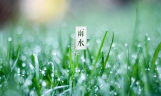 雨水经典祝福语（雨水的经典祝福语）