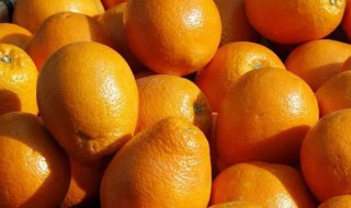 橙子保存技巧（橙子保存技巧视频）