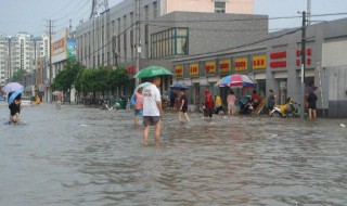 梦见地上都是雨水什么意思 梦见地上都是雨水什么意思啊