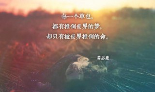 简短一句话心灵鸡汤励志句子（简短一句话心灵鸡汤励志句子大全）