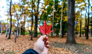 秋风微凉的朋友圈句子 秋意凉凉发朋友圈的句子