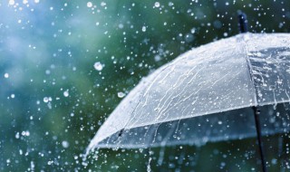 关于雨水节气经典诗词鉴赏分析 关于雨水节气的诗有哪些