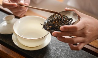 滇红茶最标准冲泡方法 云南滇红茶冲饮法