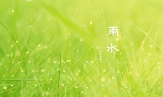 雨水节气适宜的水果（雨水节气适宜的水果是）