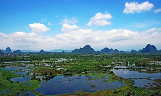 沼泽地被称为地球什么 沼泽地被称为地球的什么