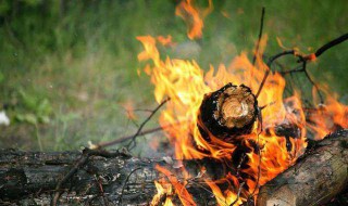 古代保留火种的方法 古代保留火种的方法是什么