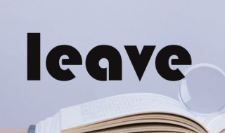 leave搭配词组 leave 搭配