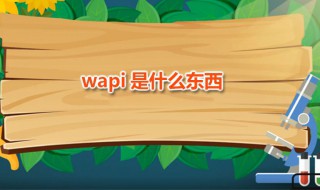 wapi是什么东西（wapi是什么东西要开还是不开）