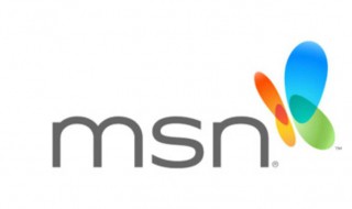 msn是什么东西（什么叫MSN）