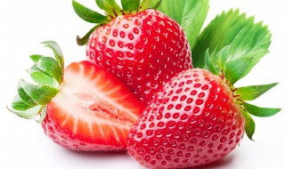草莓最低能耐多少度 草莓能耐多少度低温