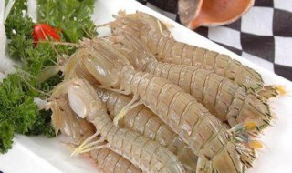 皮皮虾的营养价值及功效与作用 皮皮虾的营养价值及功效与作用百度百科