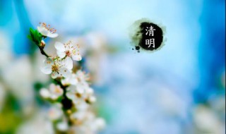 清明节吃什么 南方清明节吃什么