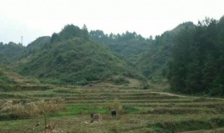 怎样看阴宅风水宝地（如何看阴宅风水宝地）