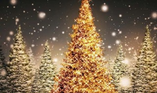 圣诞节为什么有圣诞树（真的有圣诞树吗）