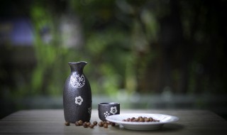 大象为啥对酒感兴趣? 大象为啥对酒感兴趣?毛茸茸一妓