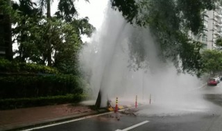 台风时正确的逃生方法（台风是正确的逃生方法）