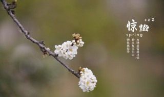 惊蛰节气是什么时候 惊蛰节气是什么时间