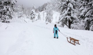 滑板和滑雪单板有什么区别 十种不适合学滑板的人