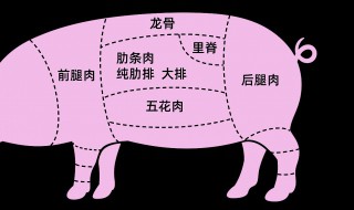 猪肉分割方法步骤（新东方猪肉分割培训）