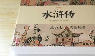 水浒传第二十八回概括（水浒传第二十八回概括200字）