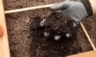 果园堆肥使用方法 果园堆肥使用方法图解