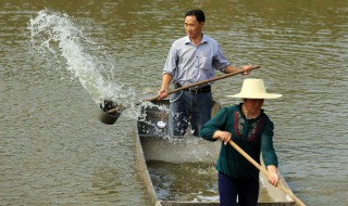 给鱼池消毒方法 给鱼池消毒的最好方法是什么