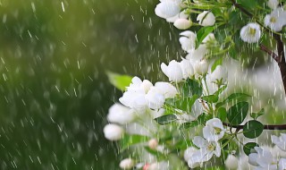 关于春雨绵绵的心情说说有哪些 春雨绵绵心情短语