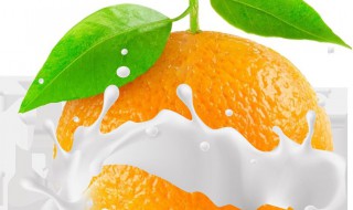 橙子牛奶制作方法 橙子牛奶怎么制作