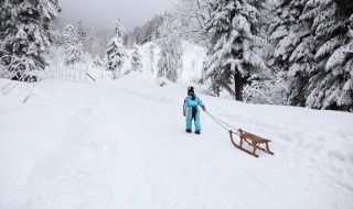 滑雪双板怎么拐弯 滑雪双板怎么拐弯的