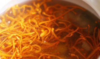虫草果蔬鲜味汤怎么做 虫草果蔬鲜味汤怎么做好喝