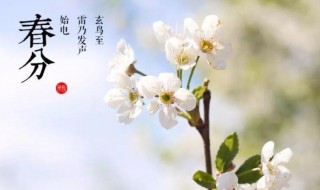 春分能剪头发吗（春分适合剪头吗）