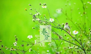 春分可以干什么（春分干什么农活）