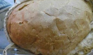 秋林大列巴面包做法和配方（秋林大面包(大列巴制作技艺）