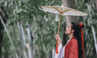 下雨的有意境的诗句 有关下雨的诗句