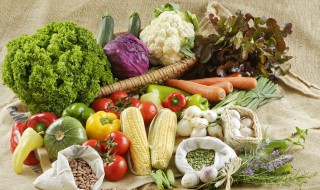 维生素食物是哪些食物 维生素食物是哪些食物类