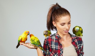 成年鸟的饲养和喂养方法（成年鸟的饲养和喂养方法有哪些）