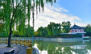 北京开放的公园景点（北京十家公园开放）