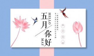 五月是夏天还是春天 五月算是春天还是夏天