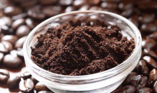 过期咖啡粉能做肥料吗（过期的咖啡粉可以当花肥吗）