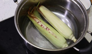 煮玉米棒子怎么做 煮玉米棒子怎么做的