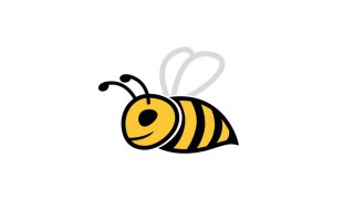 蜜蜂的居住特点 蜜蜂的居住特点是什么