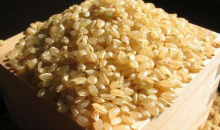 糙米和燕麦米的区别（减肥五色糙米是哪五种）