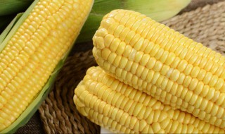 大量水果玉米储藏方法 大量水果玉米如何储存保鲜