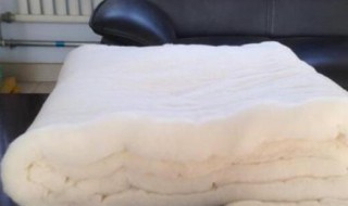 毯子长霉斑清洗的最快小妙招 毯子有霉点怎么清洗