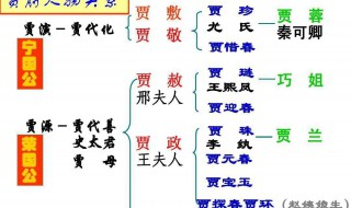 林黛玉进贾府中社会描写有什么作用 林黛玉进贾府中社会描写有什么作用呢