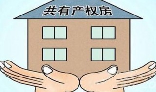 房屋共有人需要什么条件 房屋共有人的条件