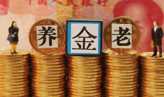 什么叫基本养老金（什么叫基本养老金和基础养老金）